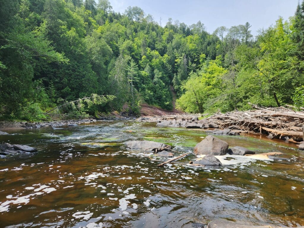 Sturgeon River Gorge Wilderness