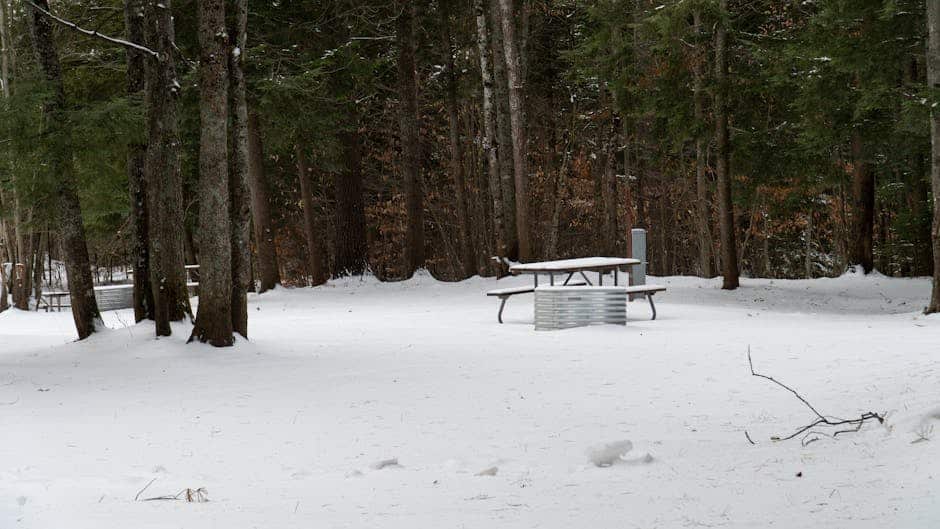Featured image for “Upper Peninsula Camping Guide: State Parks, Forests, and More”