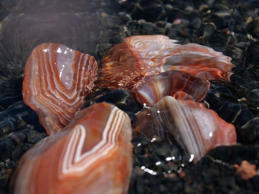 Featured image for “Upper Peninsula Agate Hunting: Top Beaches, Rules, and Tips”