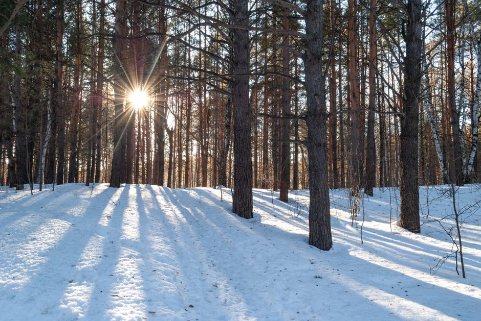 Featured image for “Upper Peninsula Winter Photography: Capturing the Frozen Landscape”