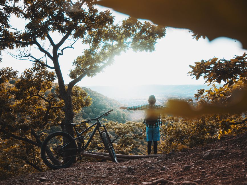 Featured image for “Best Upper Peninsula Bike Trails for Every Rider”